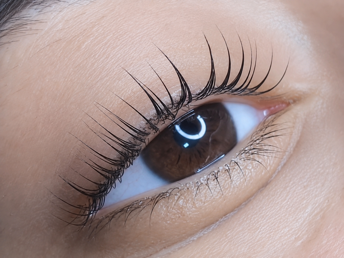 Resultado de Lash Lifting